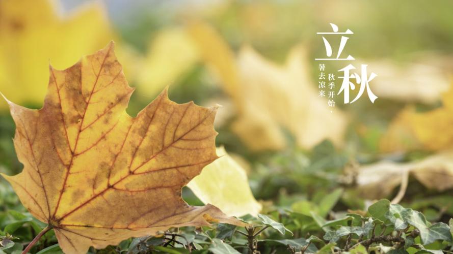 图片一 和平的立秋图片 提供者-李慧昱.jpeg