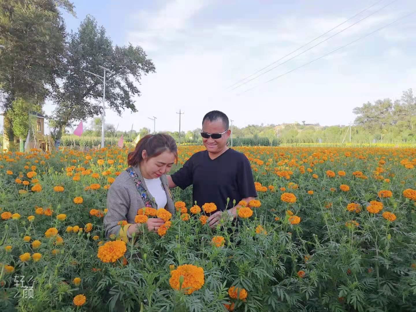 首页| w66集团中国最老牌官方网站